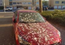 Kako da uklonite ptičji izmet sa vašeg automobila